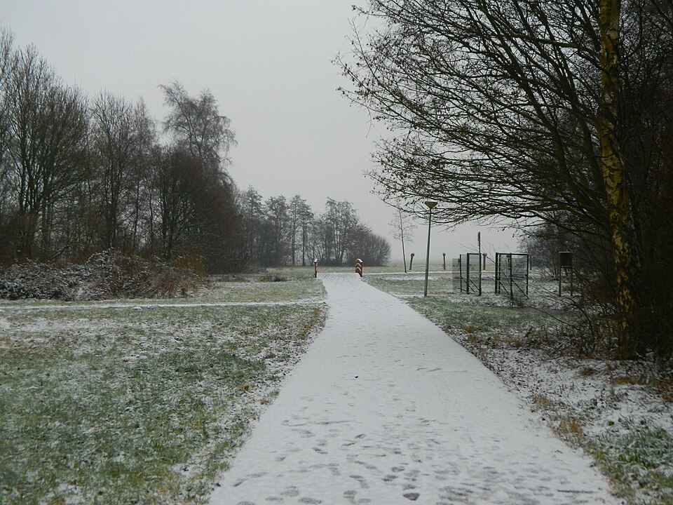 Steinse Groen