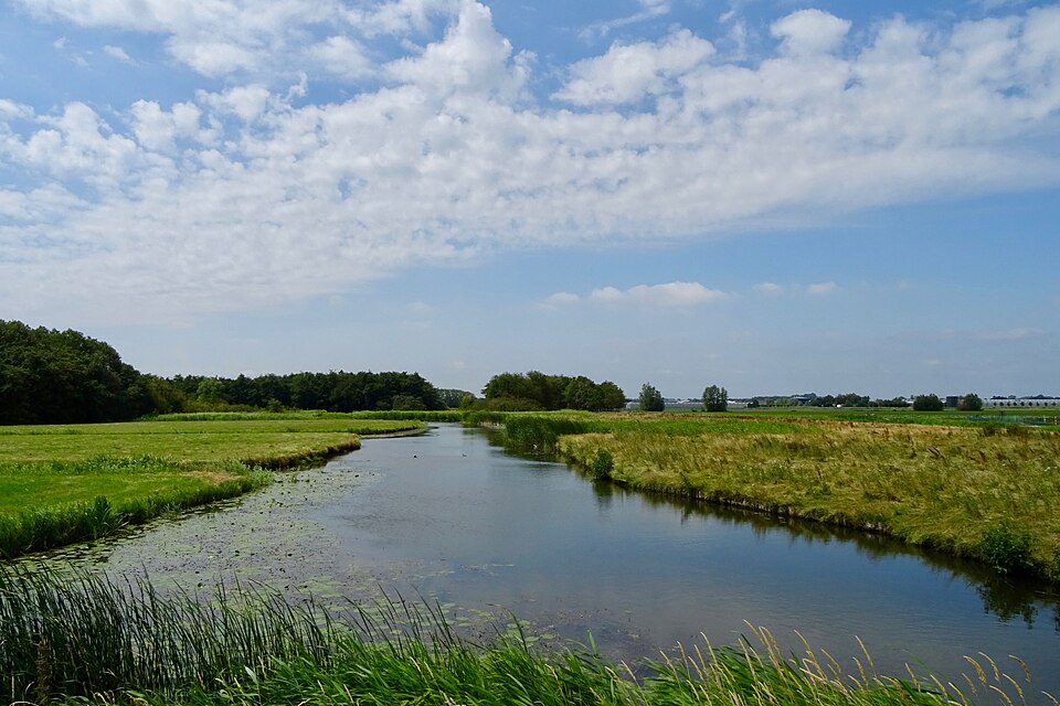 De Weelen