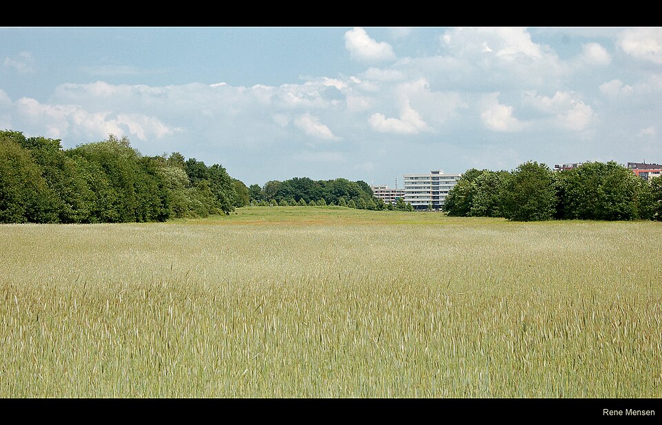 Noordbargeresch