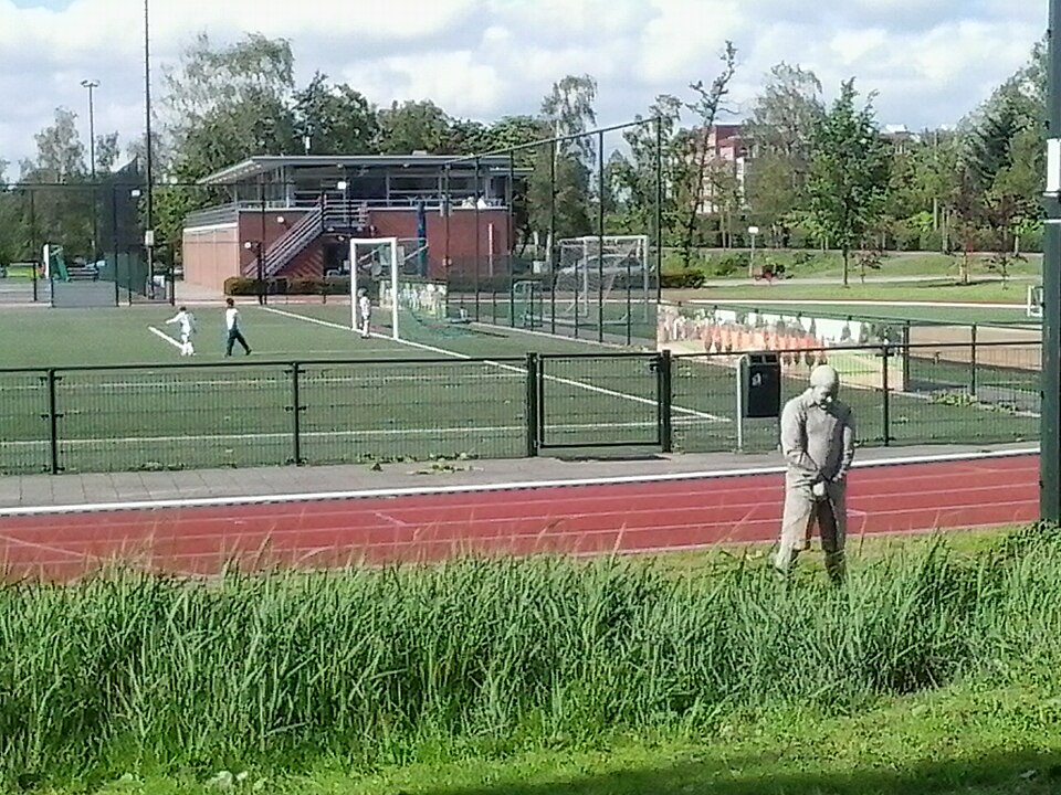 De Wildplasser