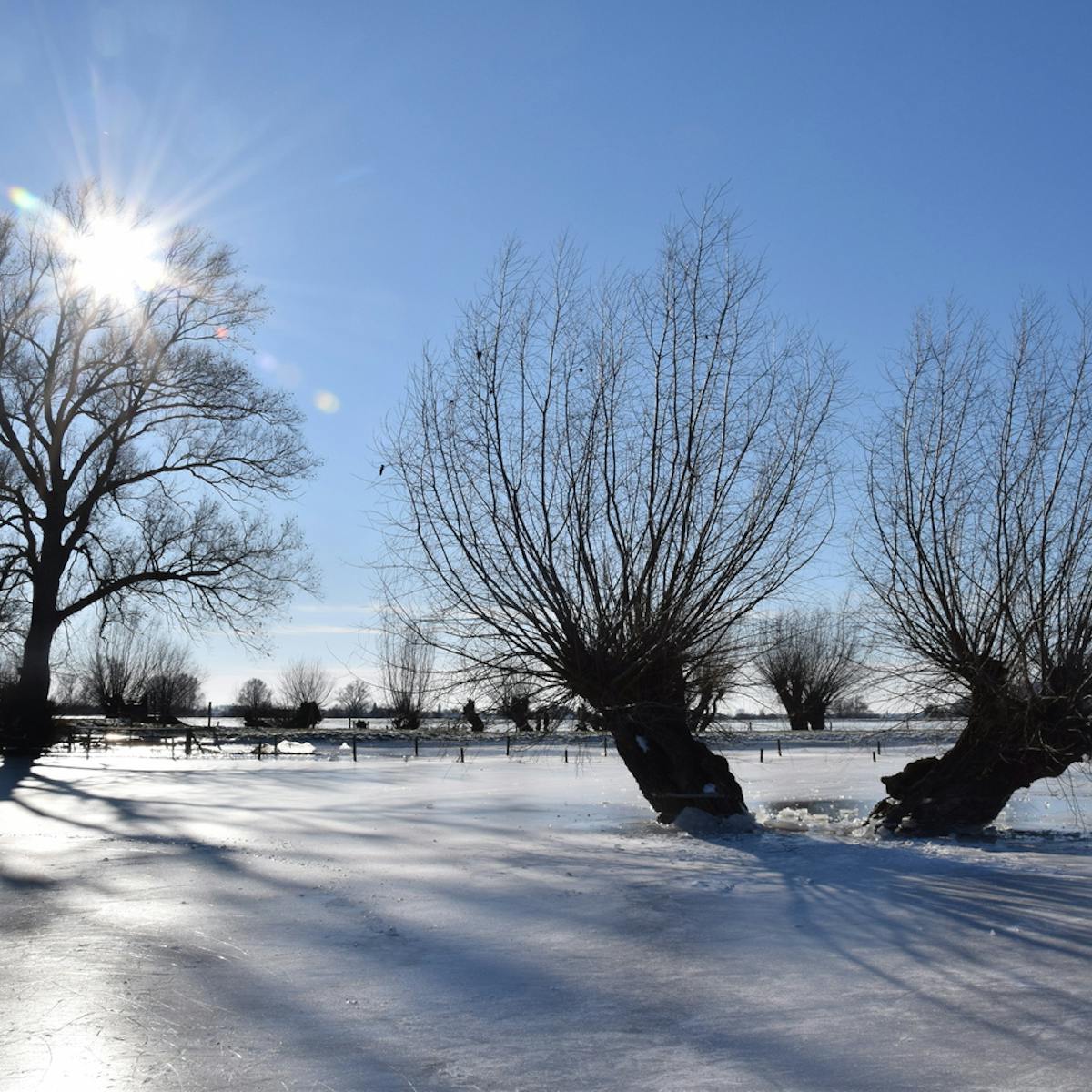 Rosandepolder