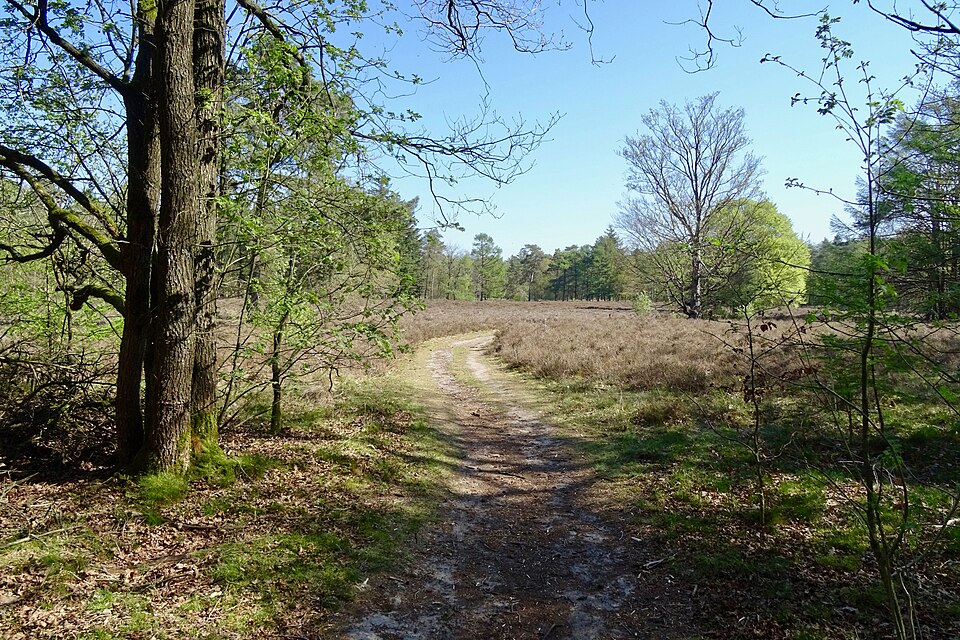 Noordbargerbos