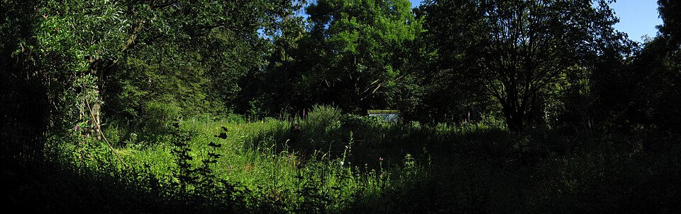 Ecologische Heemtuin Stadspark