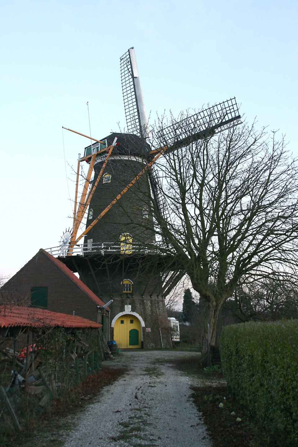 De Koning