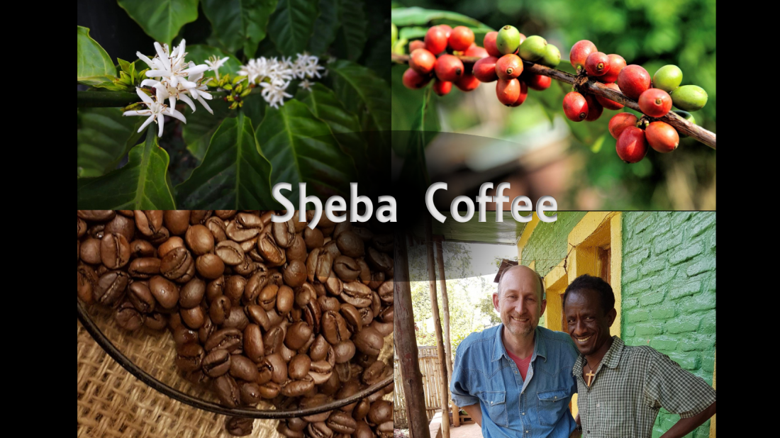 Sheba Coffee