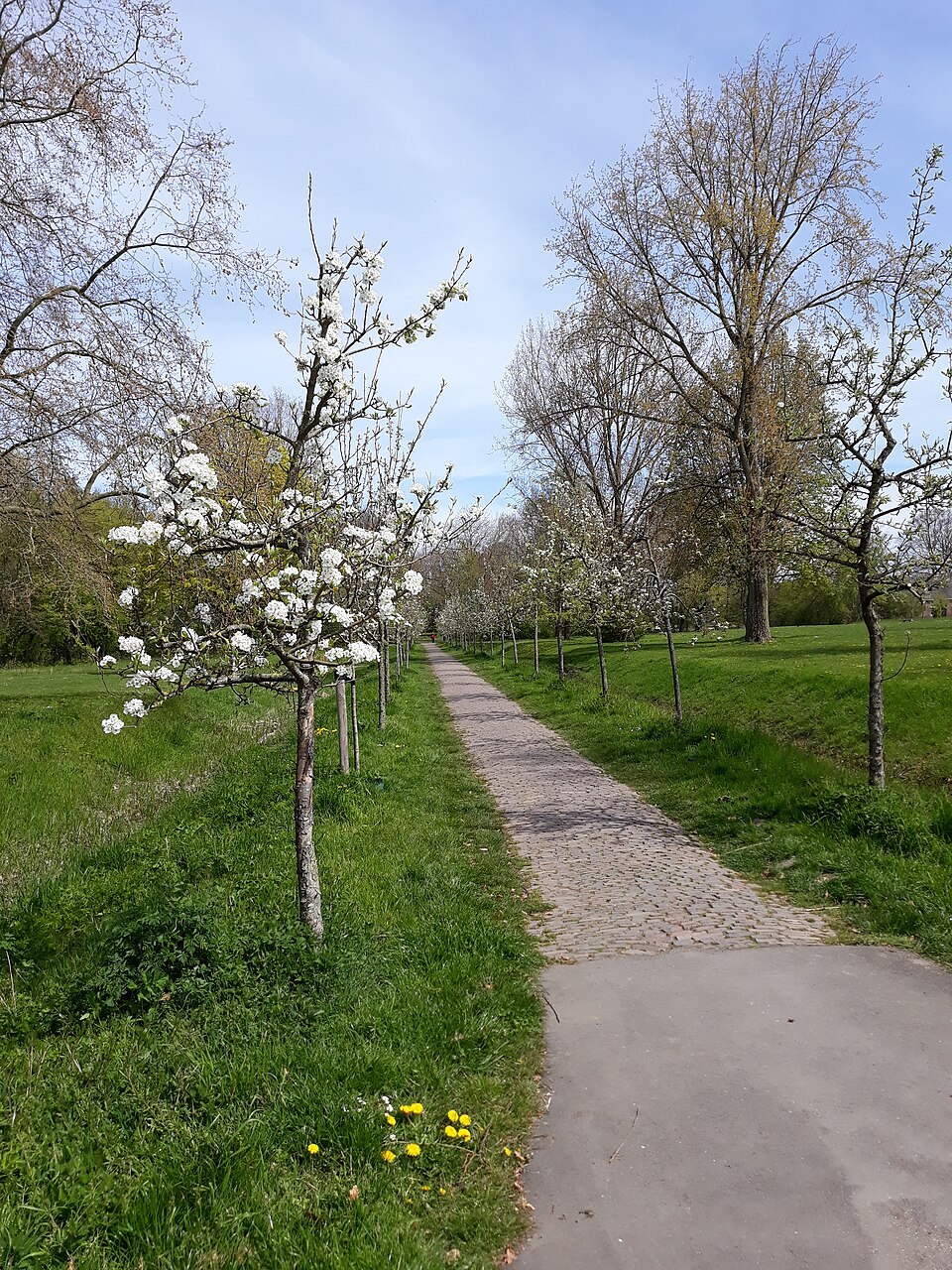 Westerveldpark