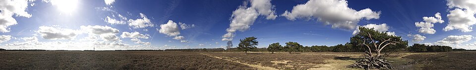 Bussummerheide