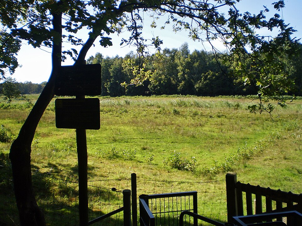 Zanderij Cruysbergen