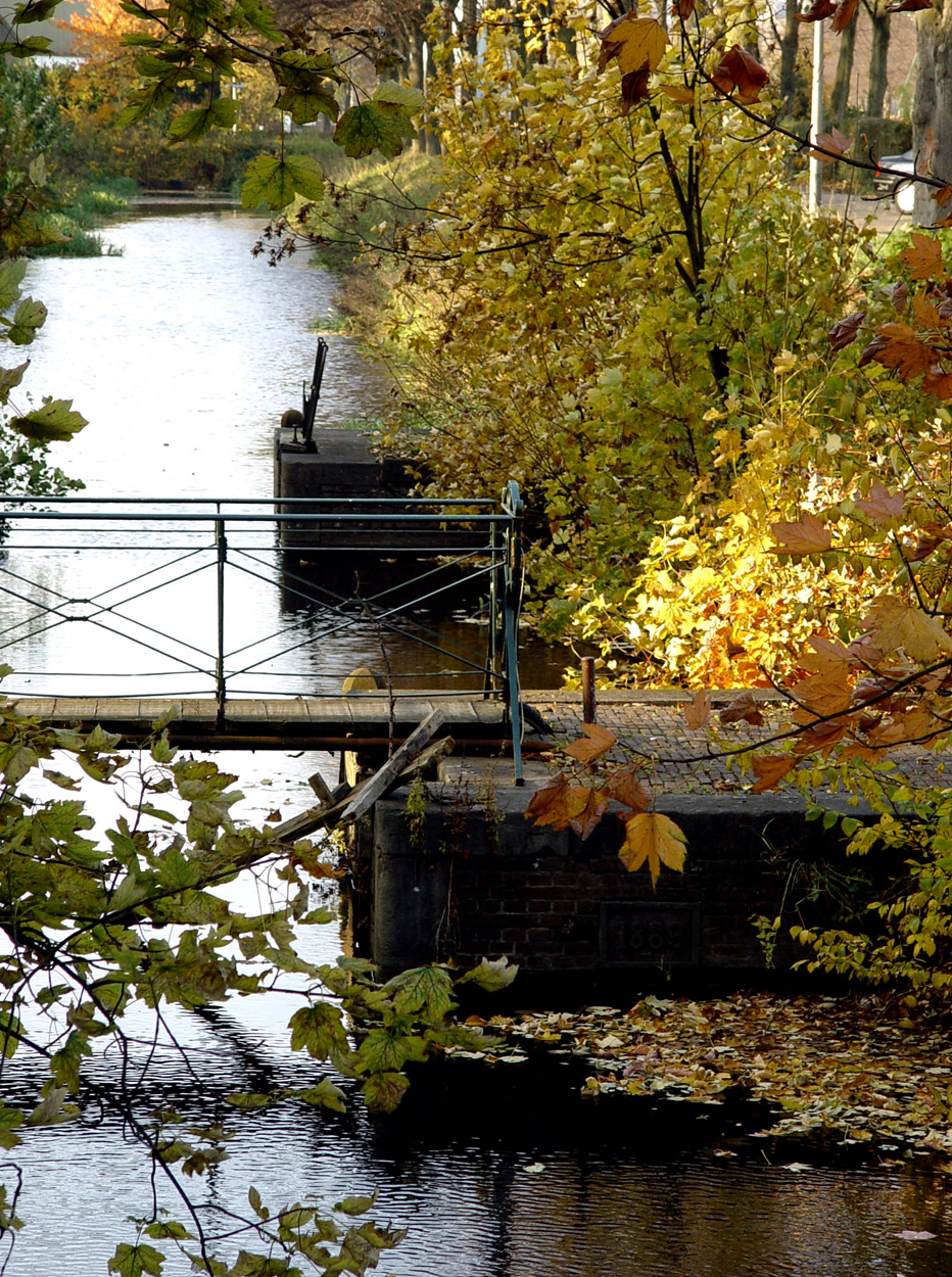 Park Oog in Al