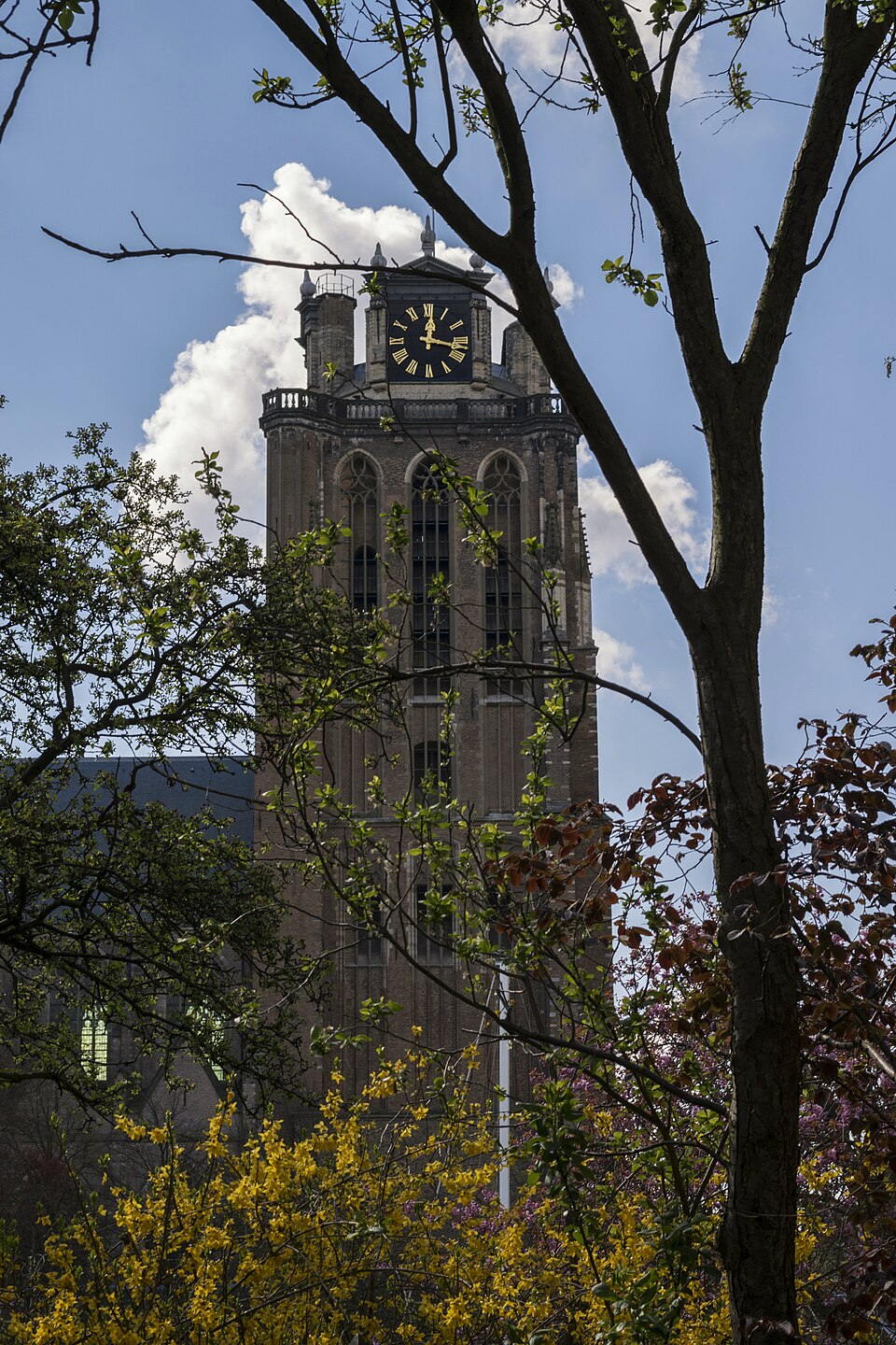 Grote Kerkstoren