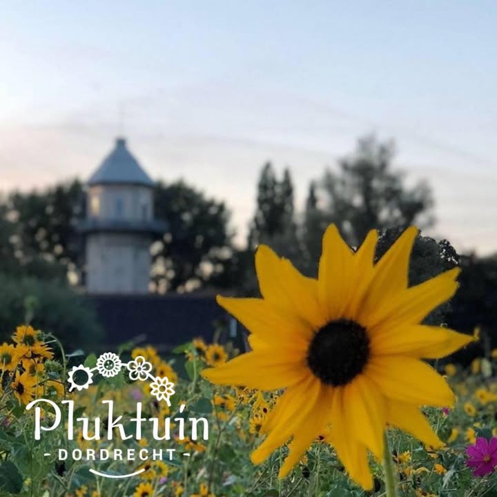 Pluktuin Dordrecht