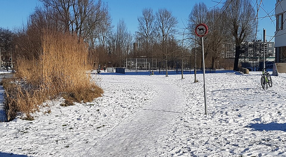 Thorbeckeveld