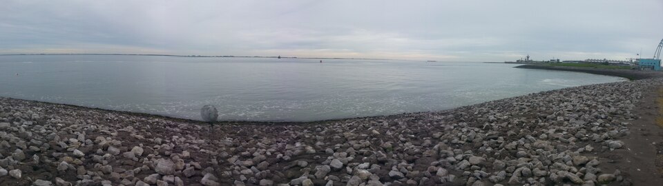 Westerschelde & Saeftinghe