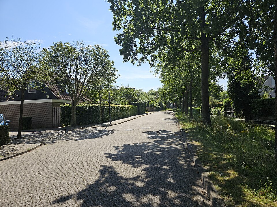 Het Blokkerse Veld