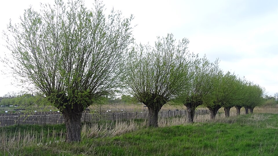 Berg- en Broekpark