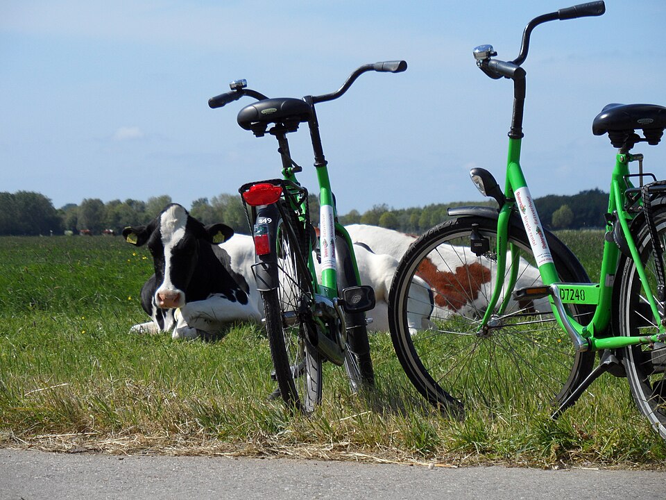 Vrij Groen Biodiversiteitstuin