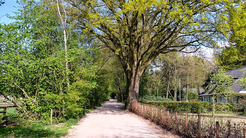De Goudsberg