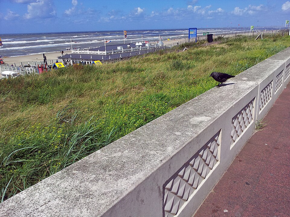 Strand Zandvoort
