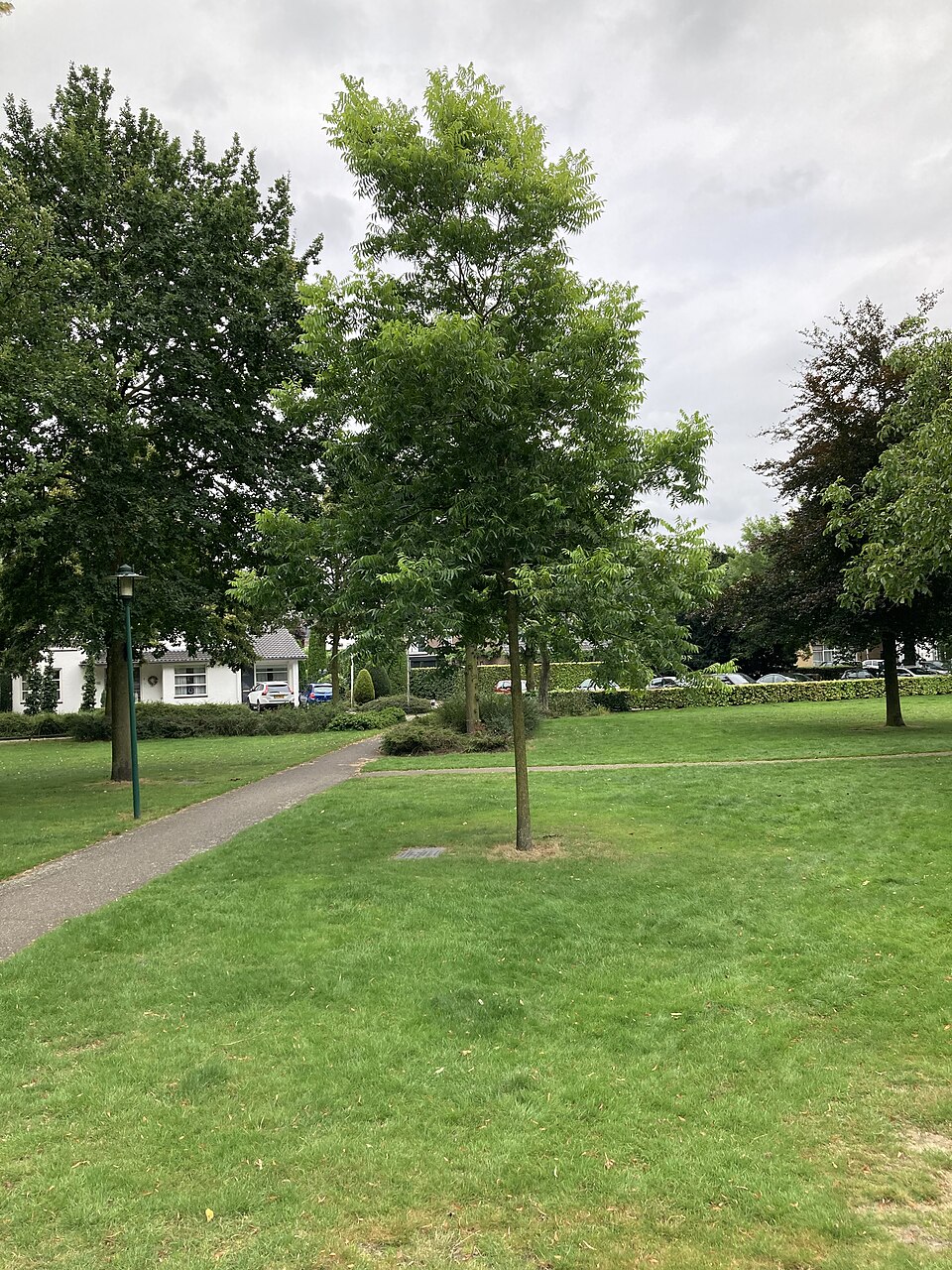 Hub van Doornepark