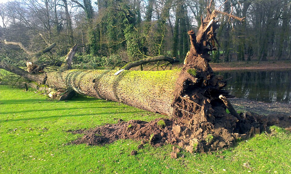 Park Daalhuizen