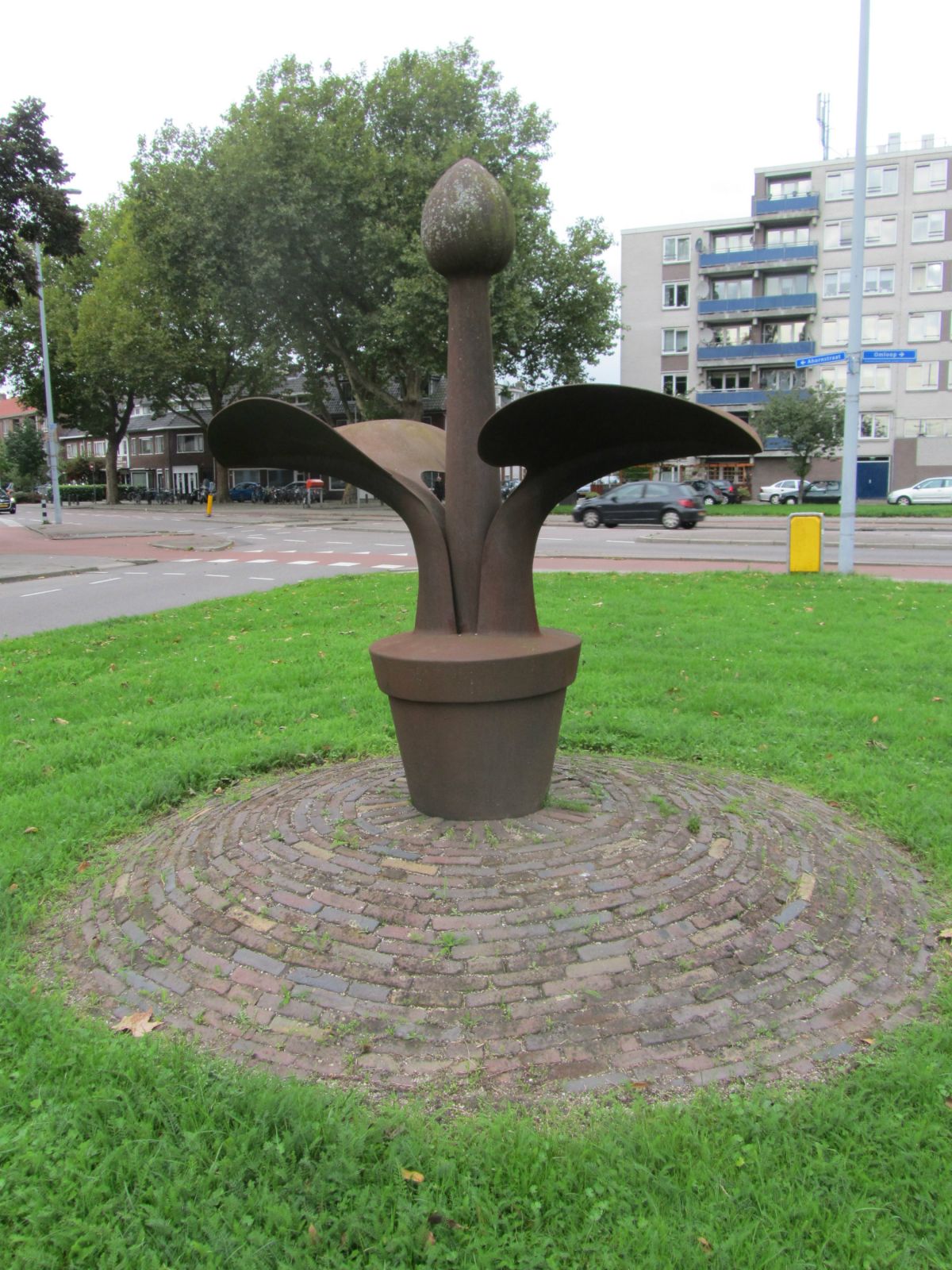 Potplant