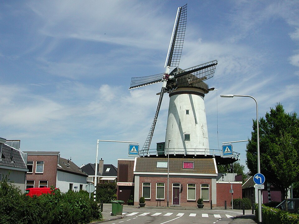 De Arkduif