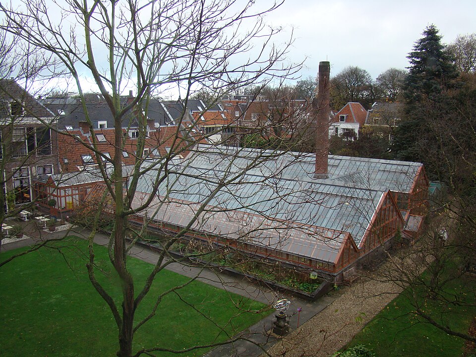 Oude Hortus