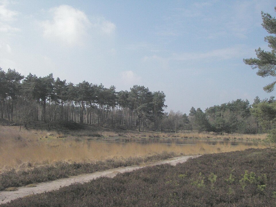Nieuwe Heide