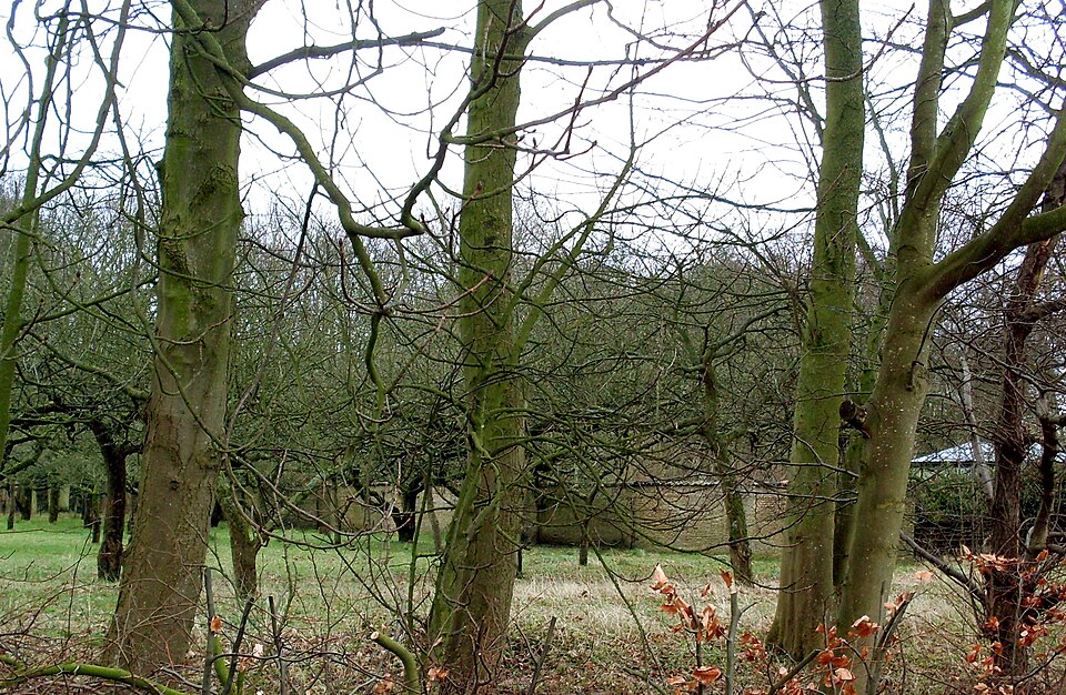 Burgemeester Rijkenspark