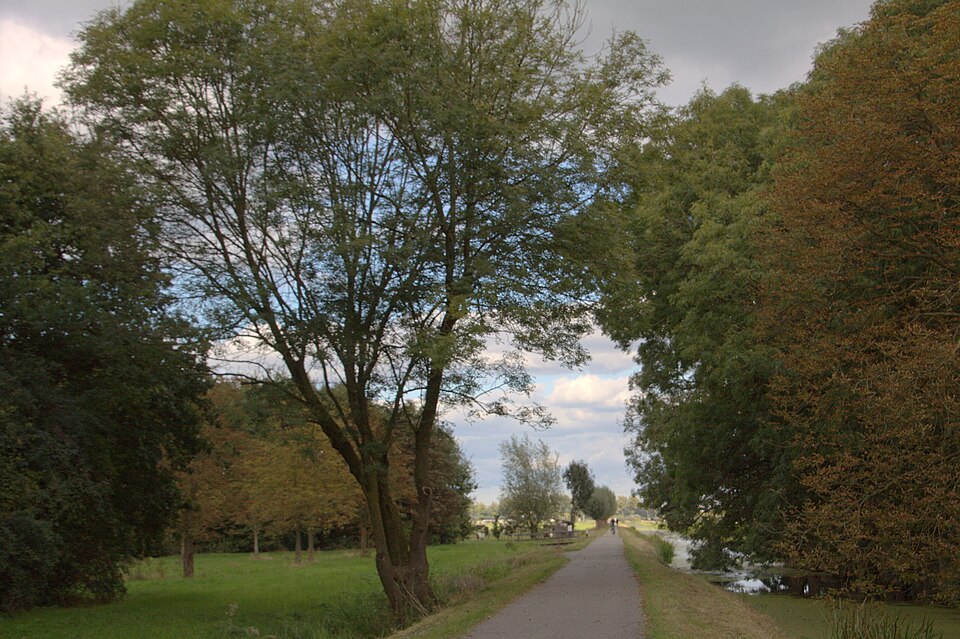 Loosdorp