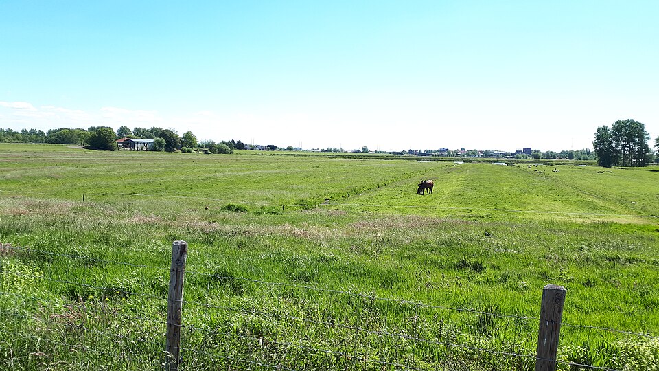 Vosse- en Weerlanerpolder