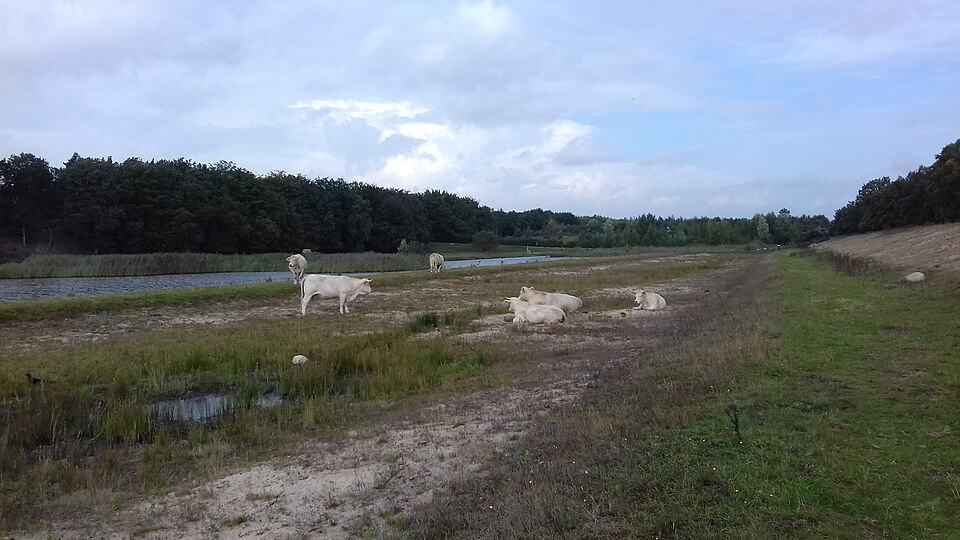 Zanderij Crailoo