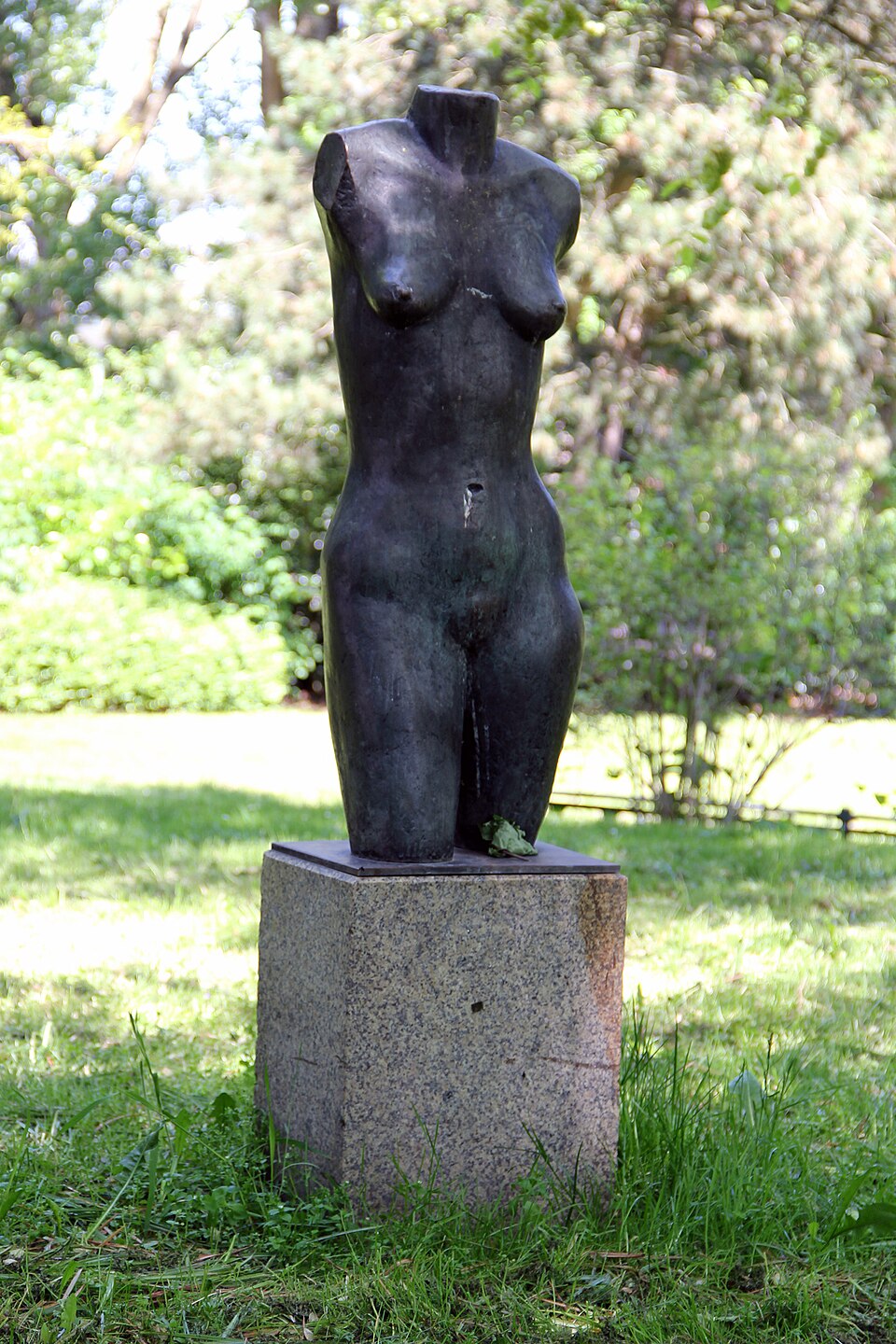 Torso Lucy