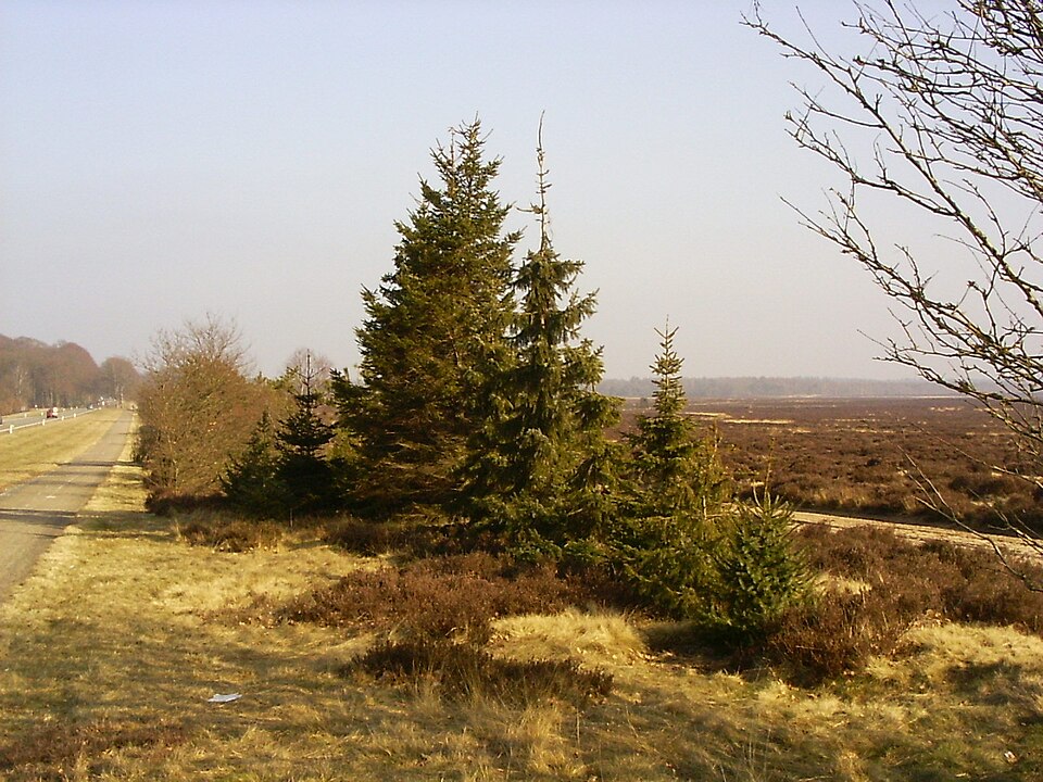 Militair Oefenterrein Ginkelse Heide