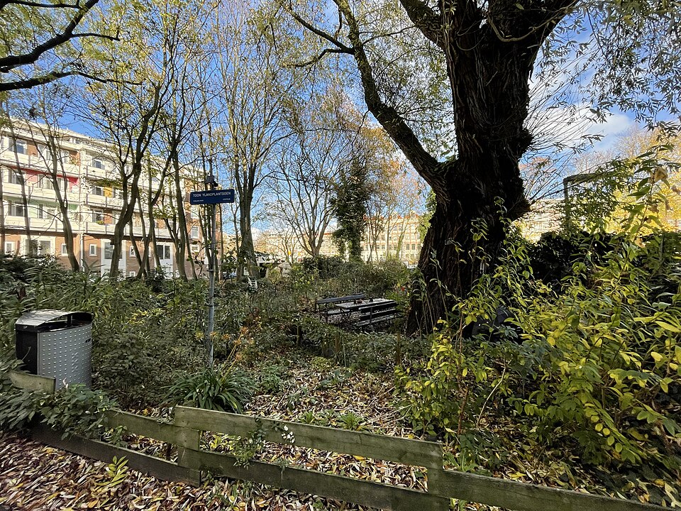 Toon Ylandplantsoen