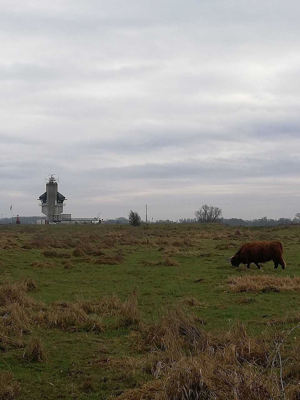 Kleine Willemswaard