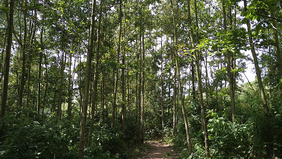 Essenburgpark