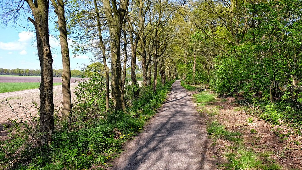 Het Uilenbos