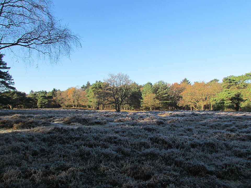 Laapersveld