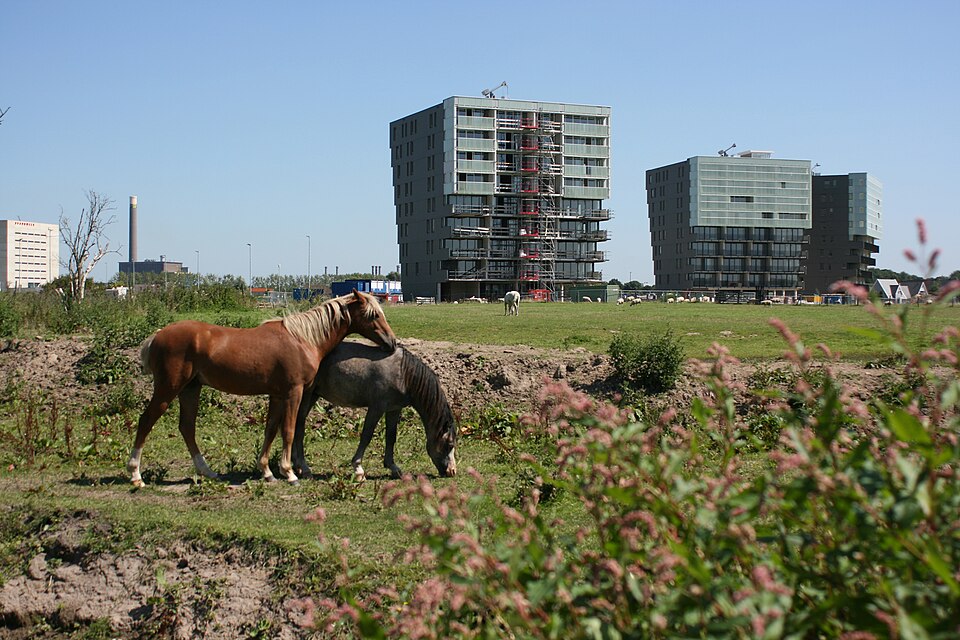 Park Groot Zandveld