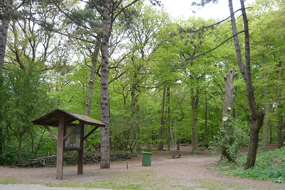 Wandelbos Groenendaal