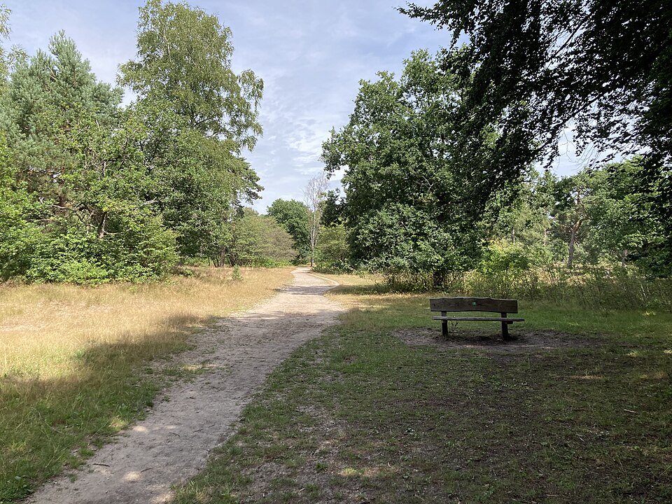 Boswachterij Austerlitz
