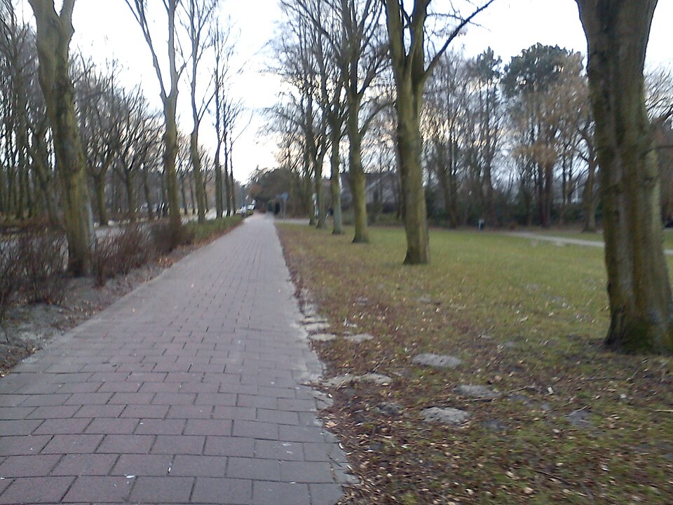 Rijswijkse Bos