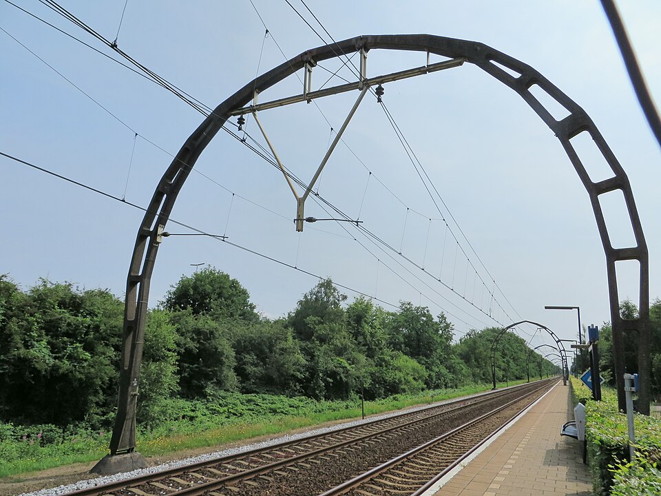 Dassenveld