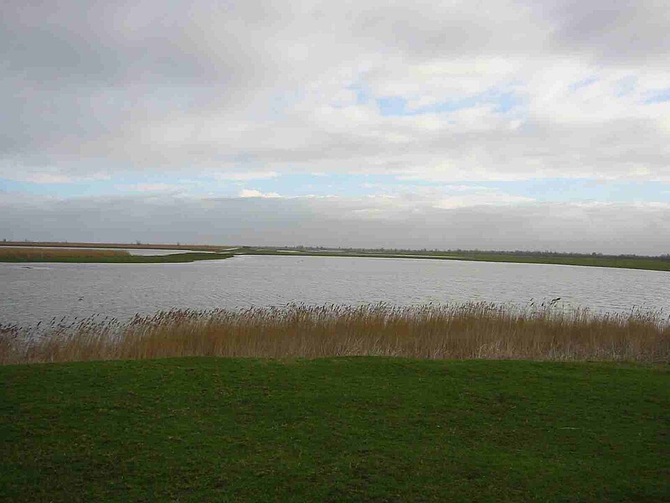 Oostvaardersplassen