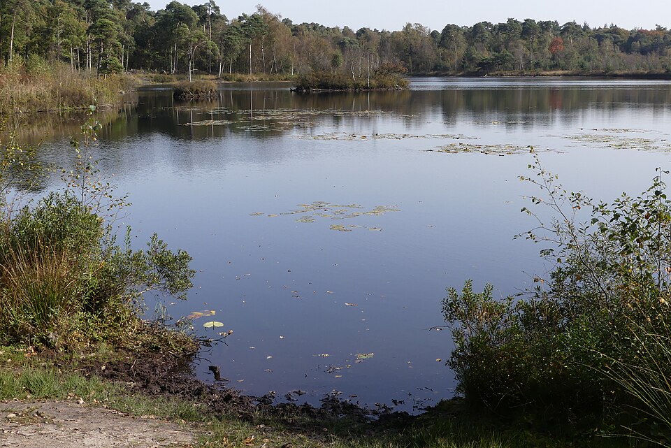 Oisterwijkse Bossen en Vennen