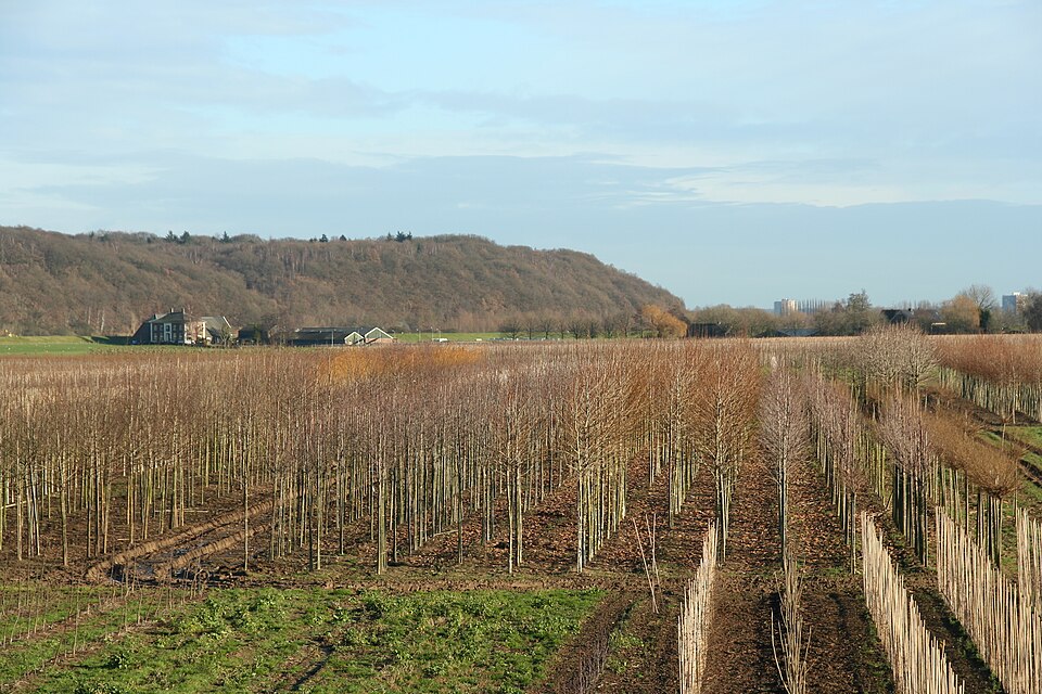 Grebbeberg