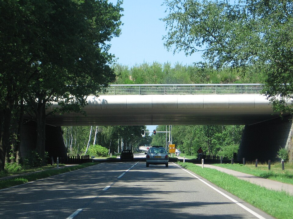 Natuurbrug Zanderij Crailoo
