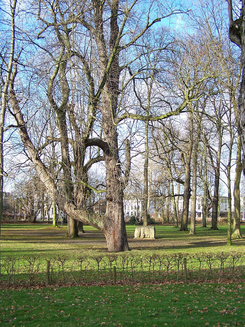 Hoogelandsepark