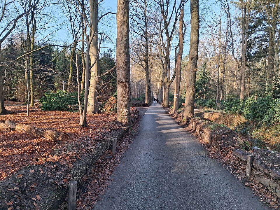 Lichtbos Eindhoven